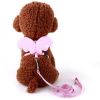 Angel Wing Pet Harness Puppy Leash Set Soft Safe Adjustable Outdoor Walking