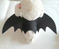 Bat Costume Pet Dog Bat Wings Cat Bat Wings Bat Dog Costume