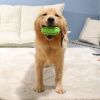 Food Dispenser Puppy Chewing Training Squeaky Leakage Ball Teething Toy