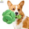 Snuffle Broccoli Dog Puzzle Toys Increase IQ Slow Dispensing Feeder