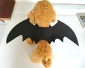 Bat Costume Pet Dog Bat Wings Cat Bat Wings Bat Dog Costume