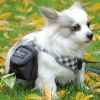 Pet Dog treat pouch Portable Multifunction Dog training bag