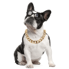 Pet gold collar Dog Chain Collar Keji Teddy Fadou domineering gold necklace