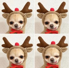 Dog Winter Warm Clothing Cute Plush Coat Hoodies Pet Costume Small Dog Clothing (Color: Coffee, size: S)