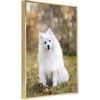 Custom Canvas Prints With Your Photos for Pet Family Personalized Canvas