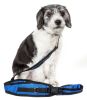 Pet Life Echelon Hands Free And Convertible 2-In-1 Training Dog Leash