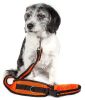 Pet Life Echelon Hands Free And Convertible 2-In-1 Training Dog Leash