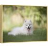 Custom Canvas Prints With Your Photos for Pet Family Personalized Canvas