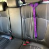 Solid Color 2 In 1 Pet Car Seat Belt Nylon Lead Leash Backseat Safety Belt