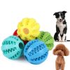 Dog Squeaky Ball Toy; Pet Chew Toy For Dog; Tooth Cleaning Ball Bite Resistant