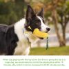 Pet Dog Toy Interactive Rubber Balls for Small Large Dogs Puppy Cat Chewing Toys