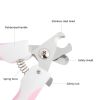 2Pcs/set Pet Grooming Tools SS Nail Clippers Dogs Scissor Grooming Grinder