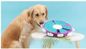 Pet Puzzle Treat Toy Interactive Food Dispenser Toy Slow Feeder Training Toy