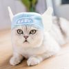 Funny Cat Hat Cartoon Duck Tiger Cosplay Costume Headgear Cute Pets Dog Cap