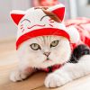 Funny Cat Hat Cartoon Duck Tiger Cosplay Costume Headgear Cute Pets Dog Cap