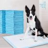 Pet Training 1 Bag Pads Super Absorbent Pet Diaper Disposable Mat  Pee Pad